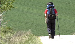 Camino de Santiago